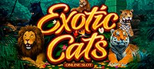 <div>Take a trip through the jungle and meet fascinating exotic cats that will surprise you. Join Lions, tigers, panthers, leopards and pumas and win incredible prizes and many free spins. With special effects and a soundtrack that will make your imagination travel, you'll be ecstatic with this Slot! <br/>
</div>
<div>Come and have fun in this 5-reel game and know up to 243 ways to win! </div>