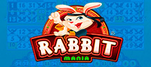Come and meet this ninja rabbit! Improve your martial skills, and access many fun bonuses! In this game you have 4 cartons of 15 numbers. In addition, you have 10 extra balls to increase your winnings!